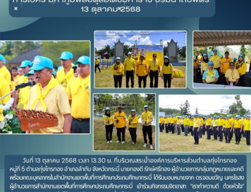 info23