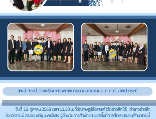 info24